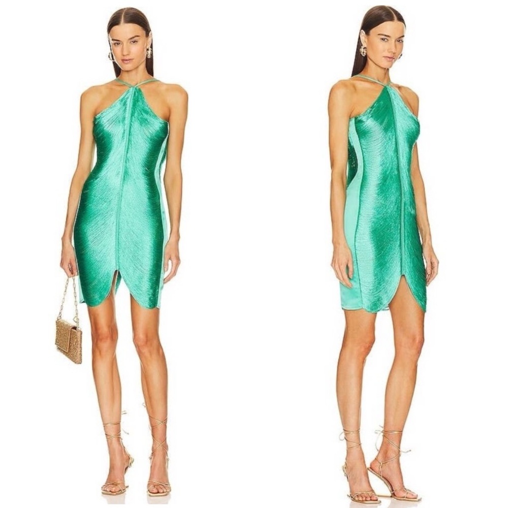 Cult Gaia Mara Fringe Mini Dress in Erba Size Medium $998 MSRP - Picture 4 of 16